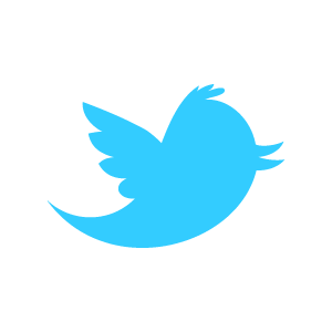Twitter logo - blue bird